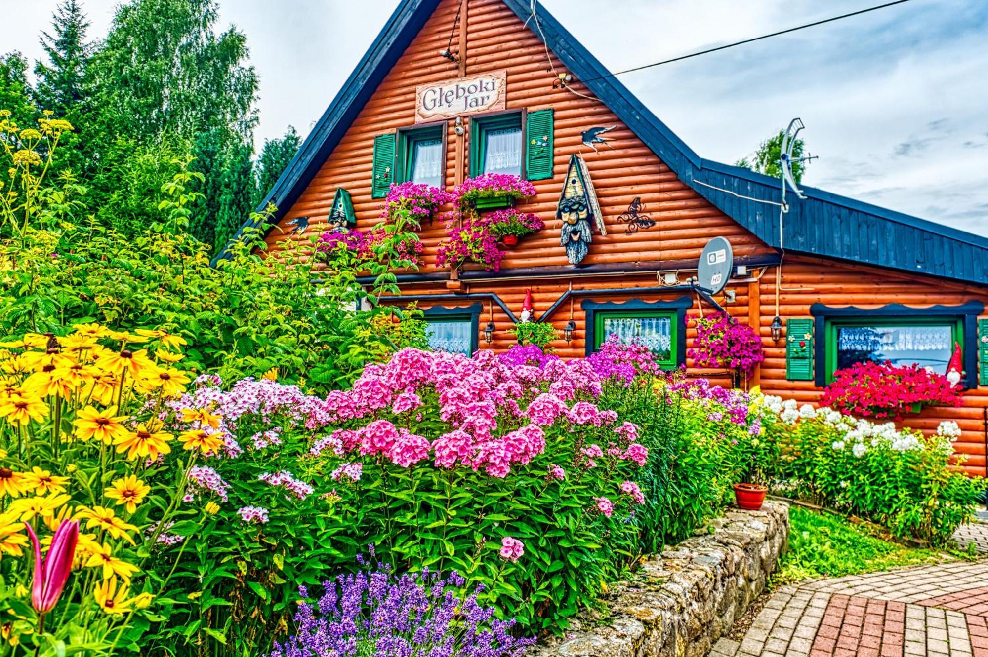 Gleboki Jar Apartment Świeradów-Zdrój Exterior foto